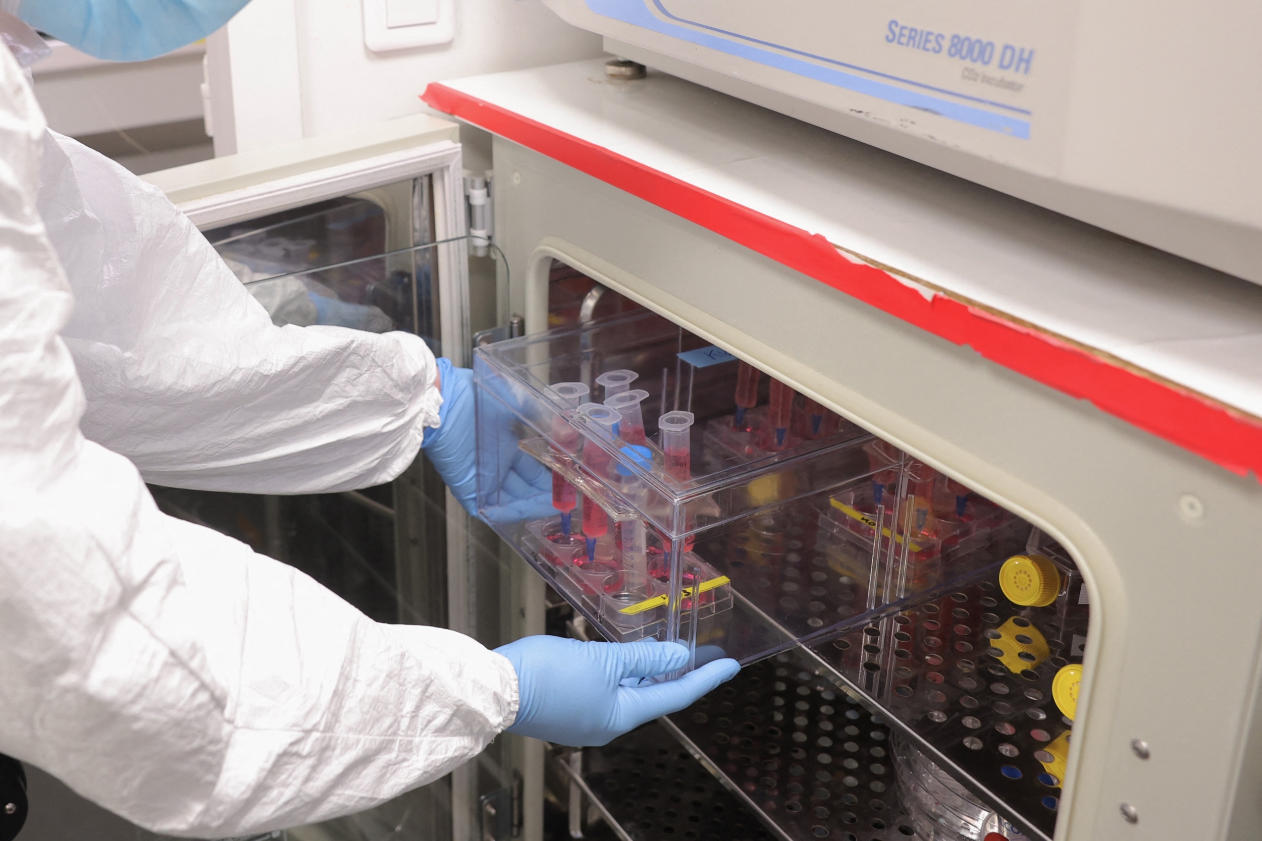 Can Removing “Zombie Cells” Slow Aging? Human Clinical Trials Are Starting to Deliver Answers