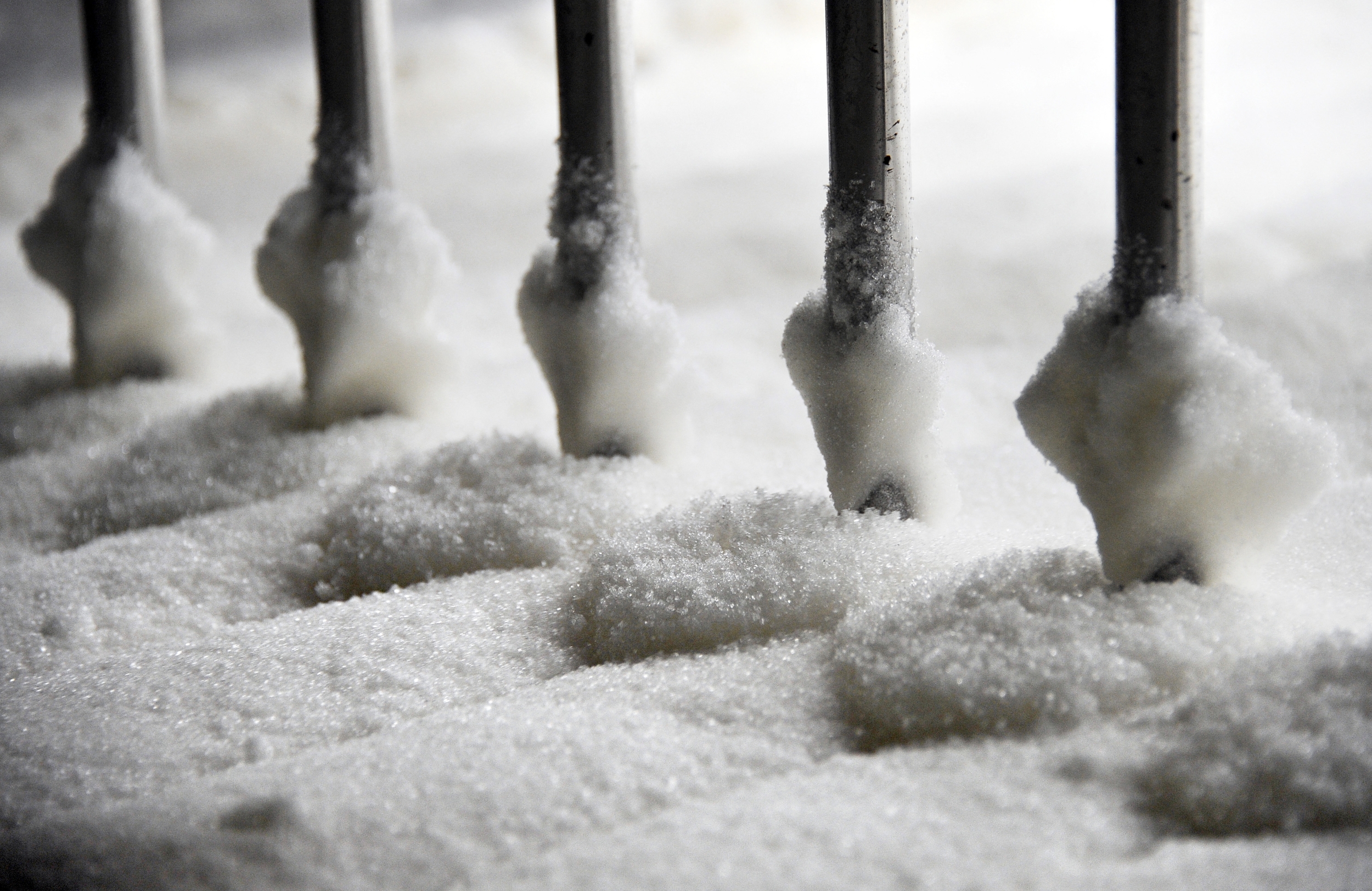 New Research Shows That Where Your Sugar Comes From May Matter More Than How Much You Eat New Research Shows That Where Your Sugar Comes From May Matter More Than How Much You Eat