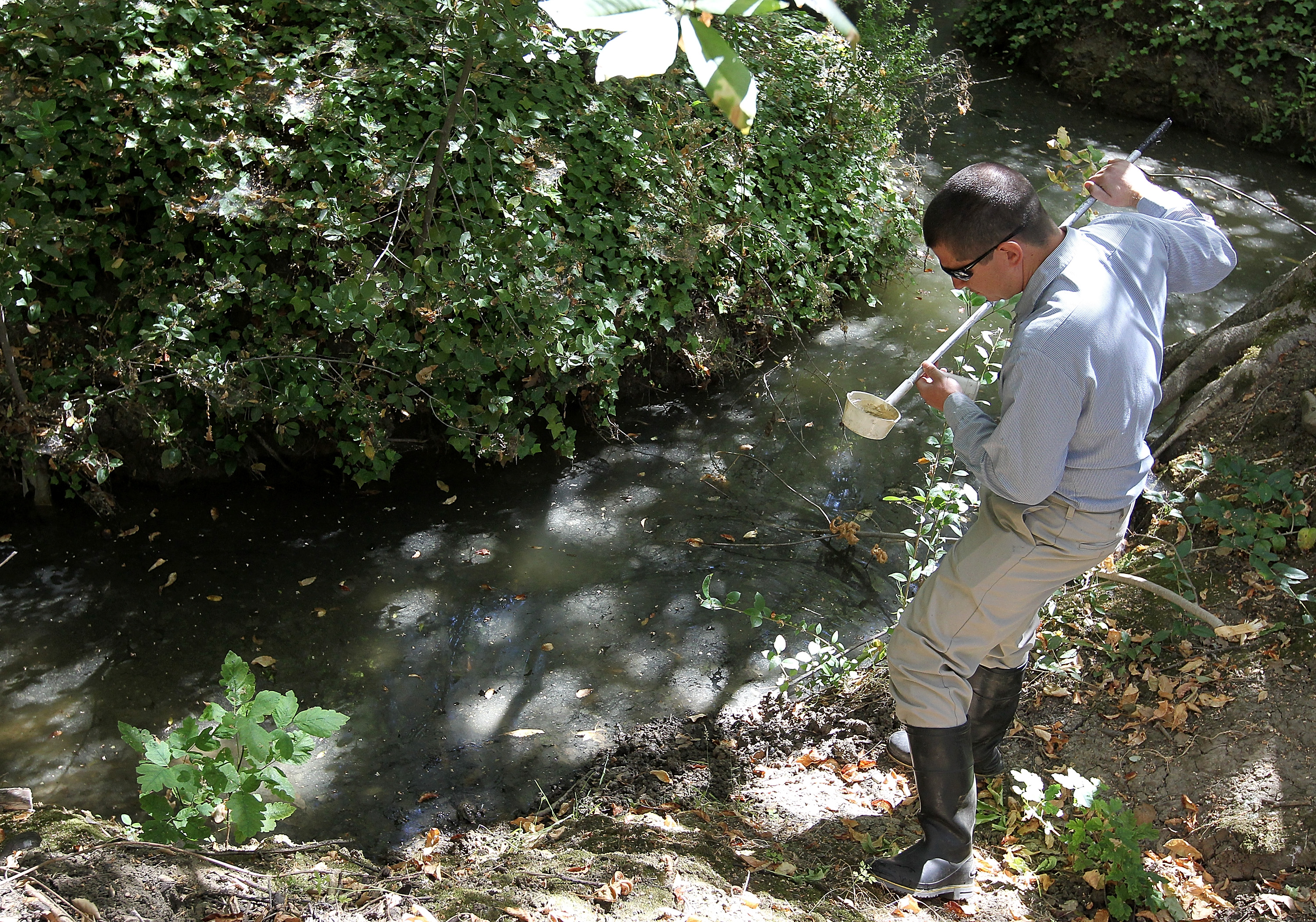 Phoenix Leads the Nation in West Nile Virus Deaths as 2026 Season Becomes Worst in Over Two Decades