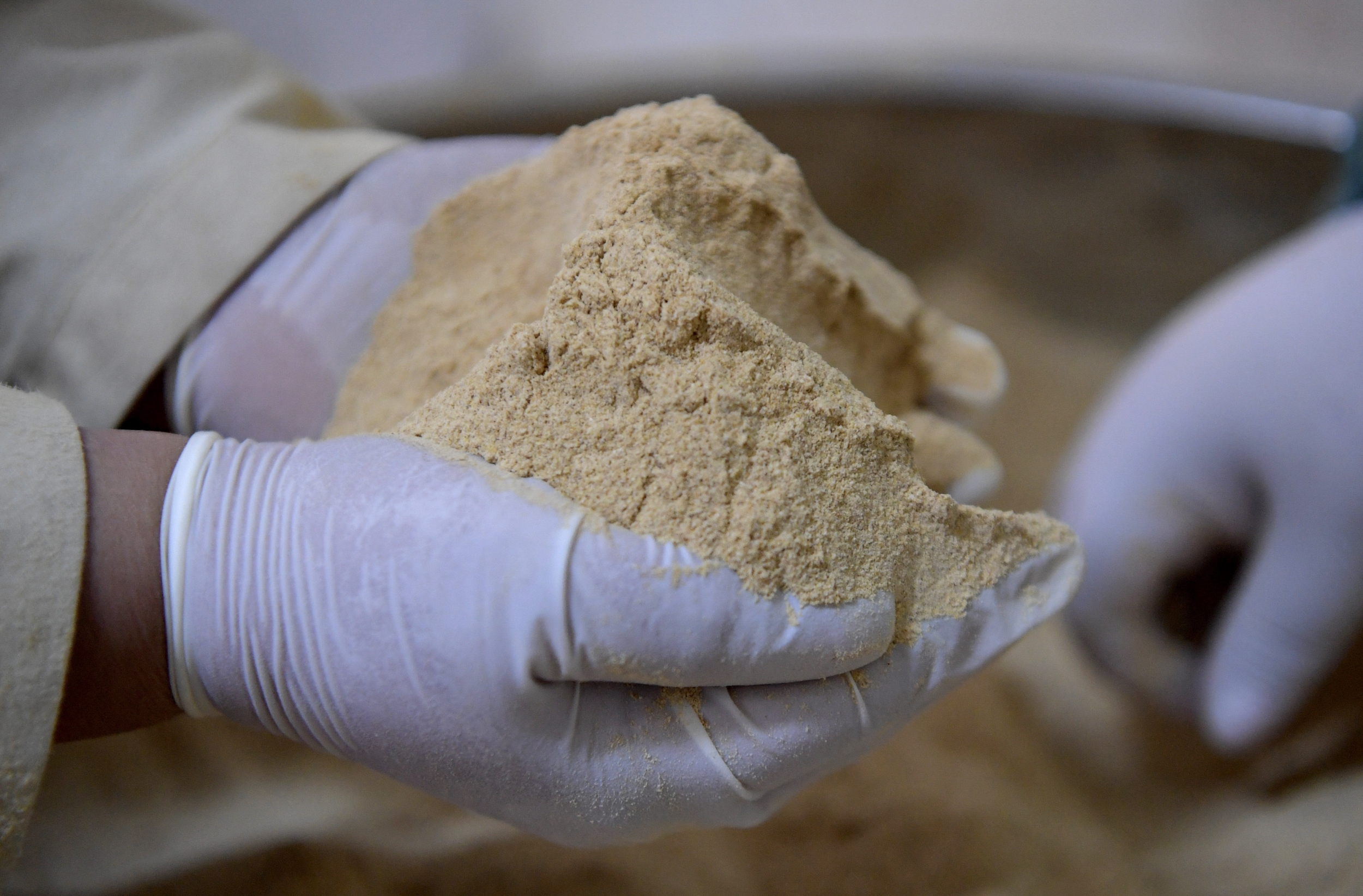 Study Finds Most of 39 Common Sweeteners Changed Gut Bacteria, With Stronger Effects Alongside Medications