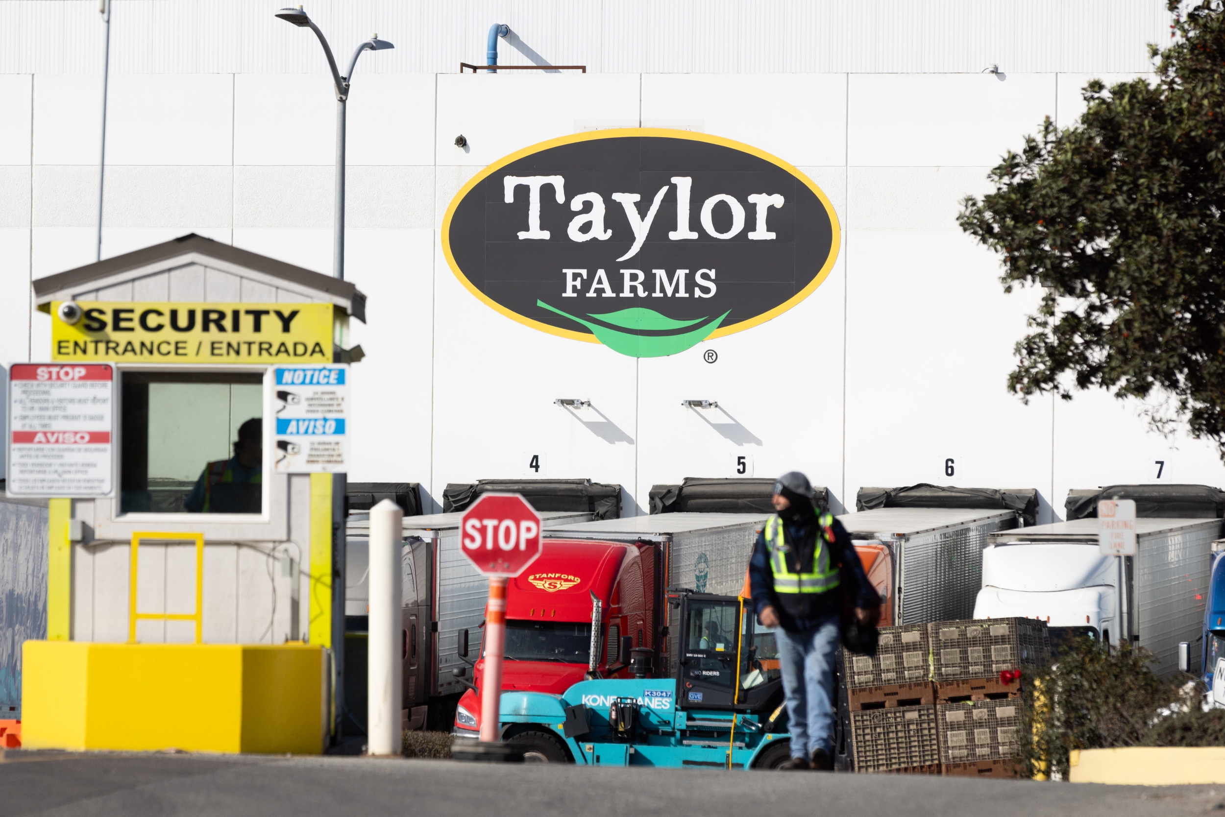 FDA Clears False Positive but Keeps Taylor Farms Lettuce as Top Suspect in 1,644-Case Cyclospora Outbreak