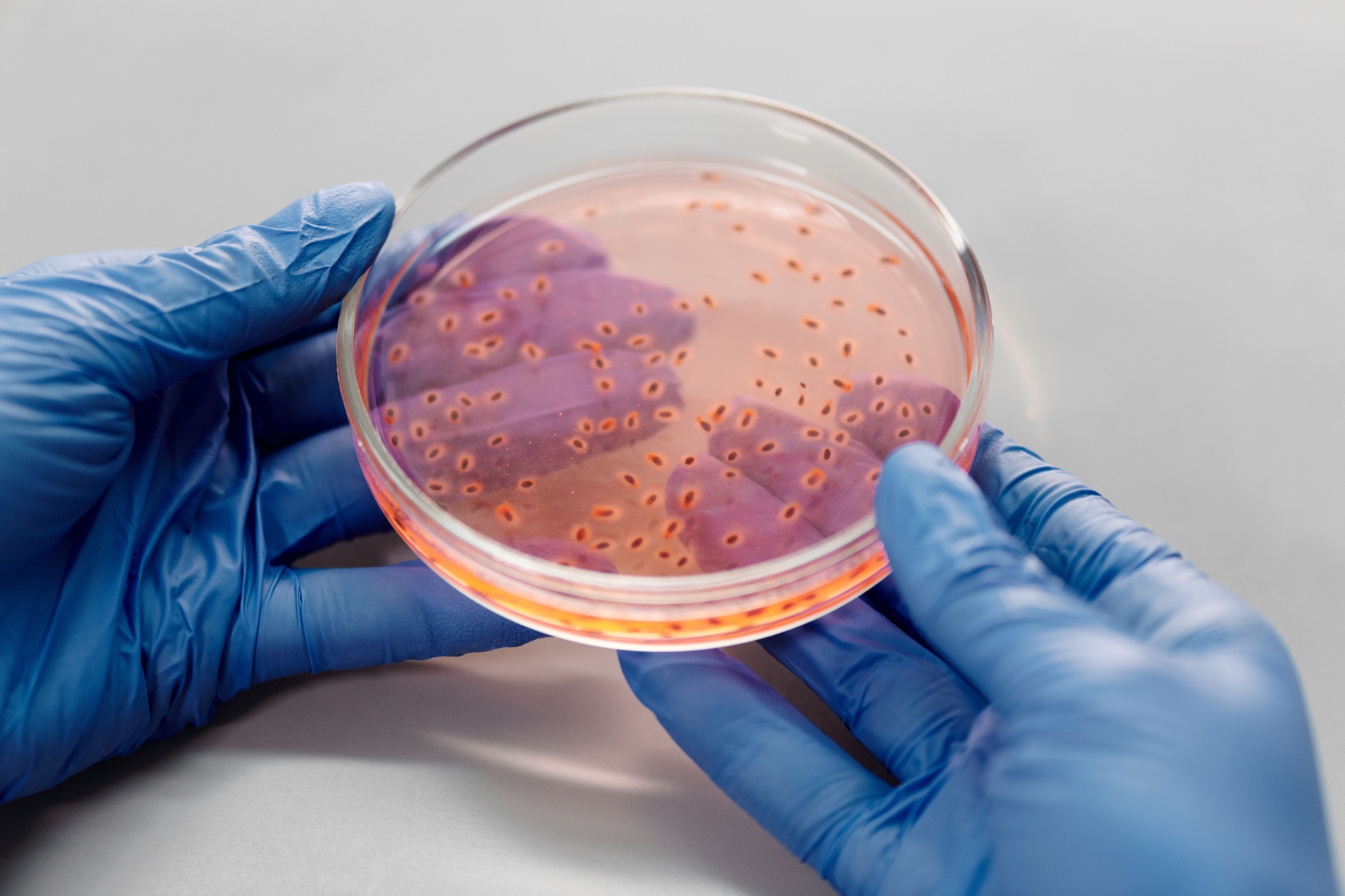 Scientists Find a Way to Make a Failing Last-Resort Antibiotic Work Again Against Drug-Resistant Bacteria