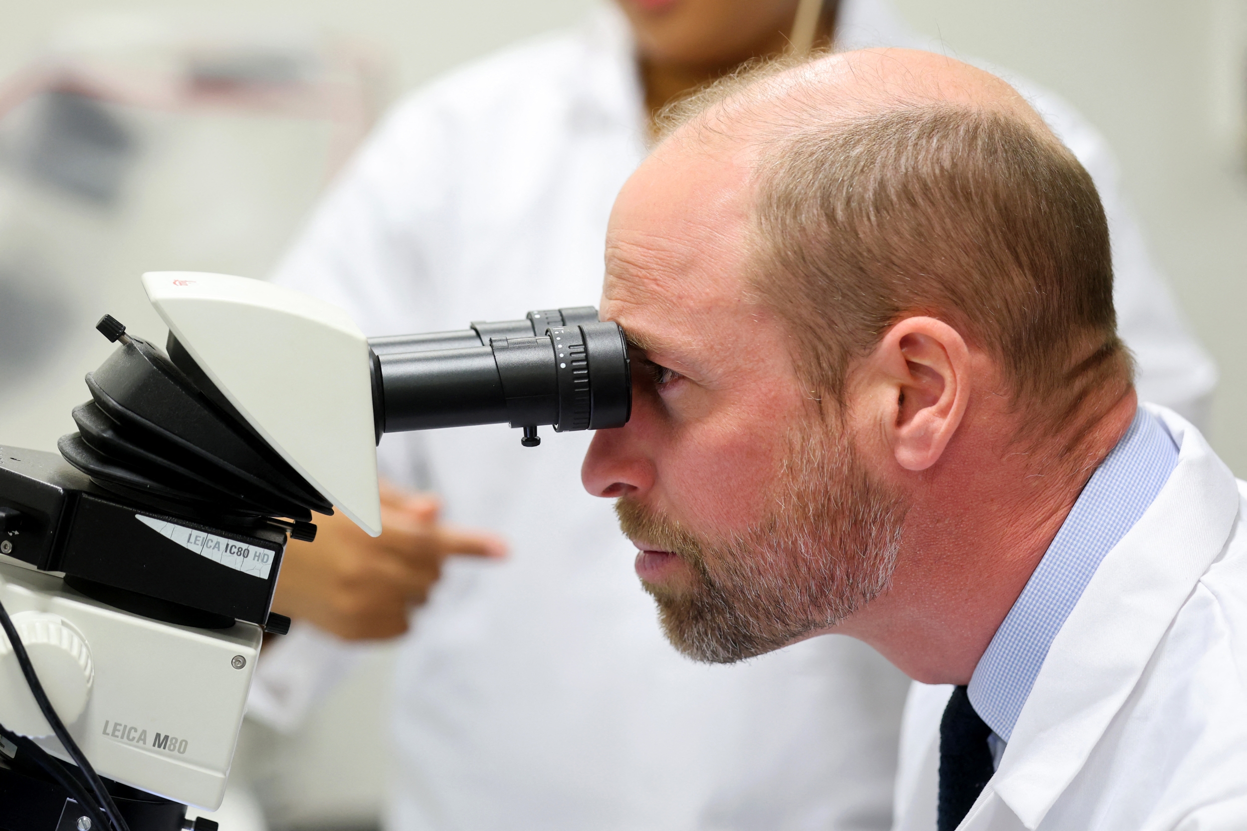 Light-Activated Compounds Designed to Stand In for Lost Photoreceptors Restore Visual Behavior in Blind Animals