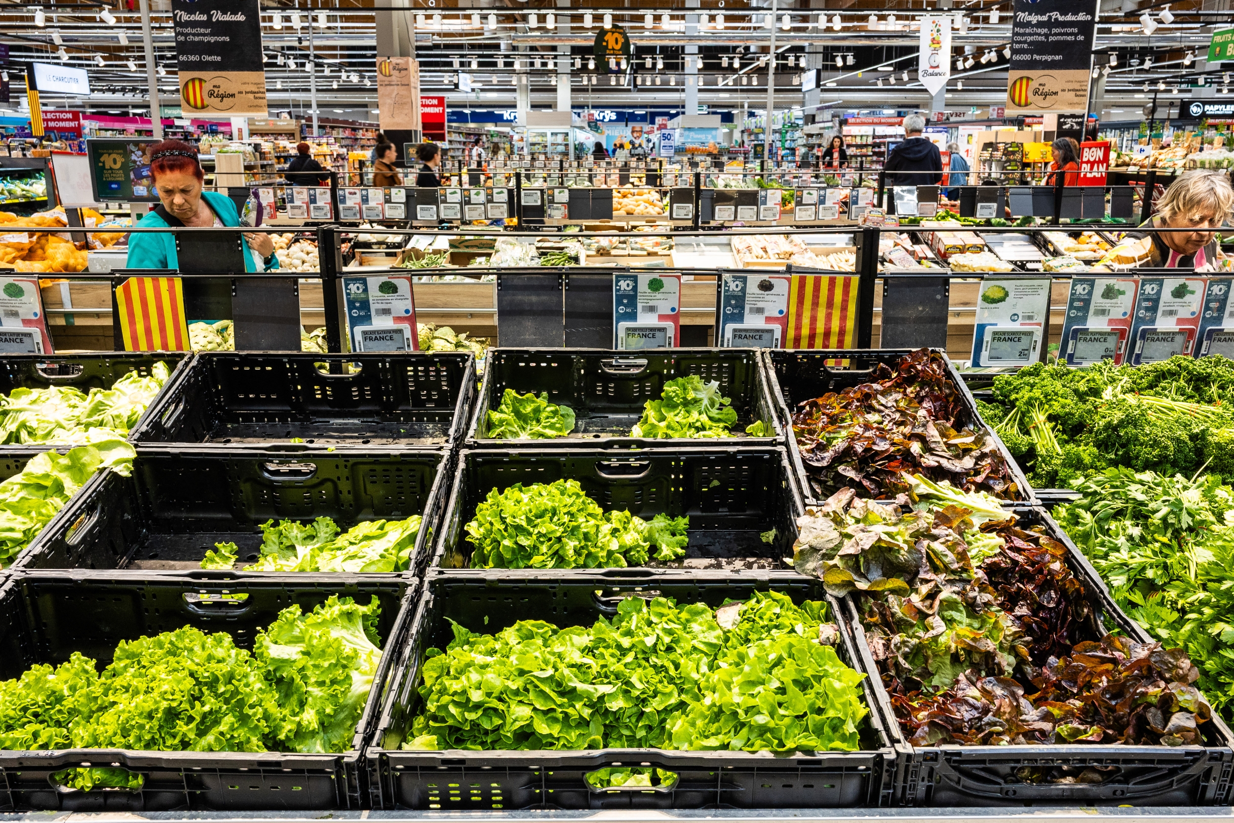 CDC Adds Six States to Lettuce Linked Cyclospora Outbreak, Bringing the Total to 15