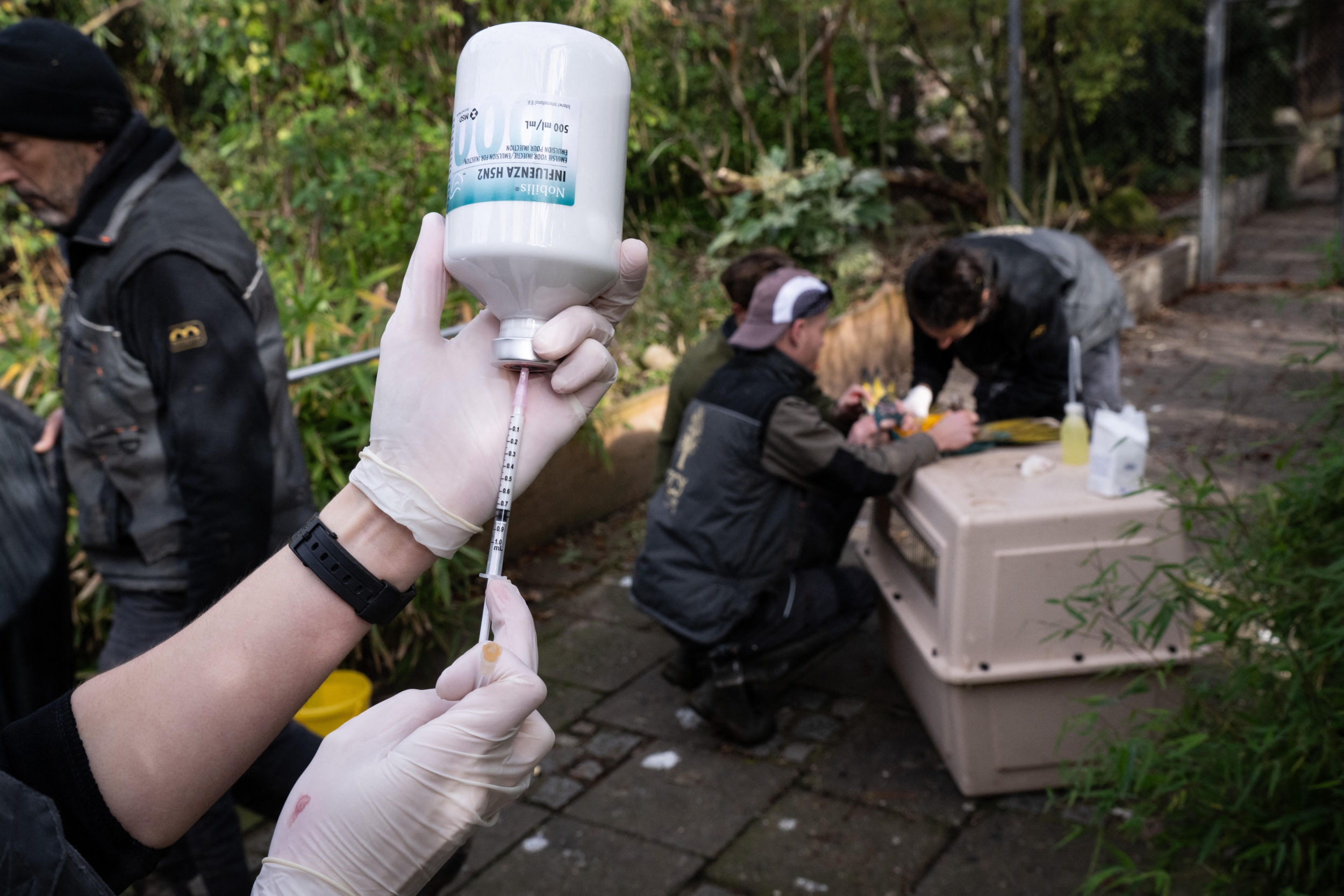 China Reports Four More H9N2 Infections as U.S. Bird Flu Risk Stays Low for the General Public China Reports Four More H9N2 Infections as U.S. Bird Flu Risk Stays Low for the General Public