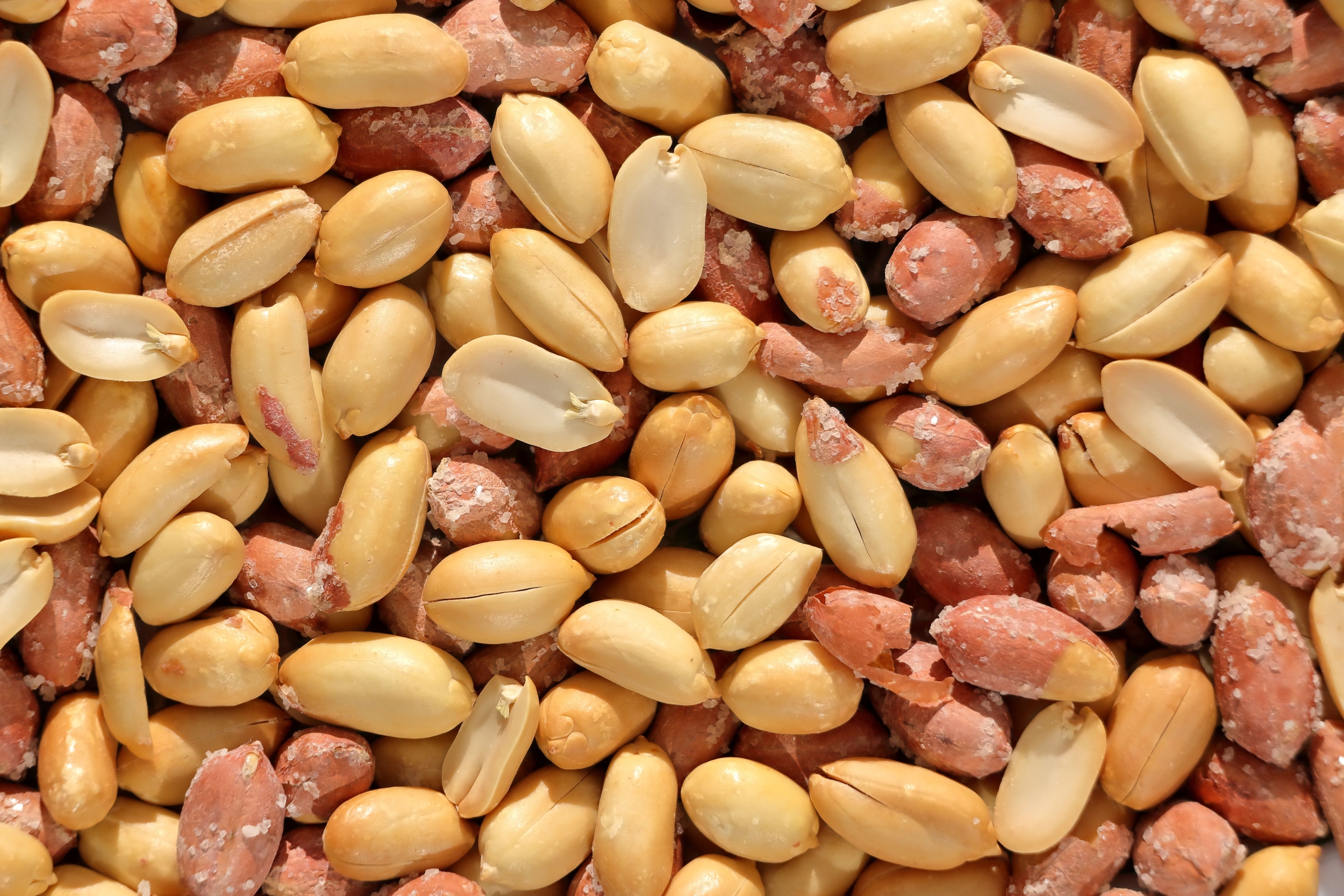 Stool Capsules Raised Peanut Tolerance in Six of Fifteen Adults in a First-of-Its-Kind Trial