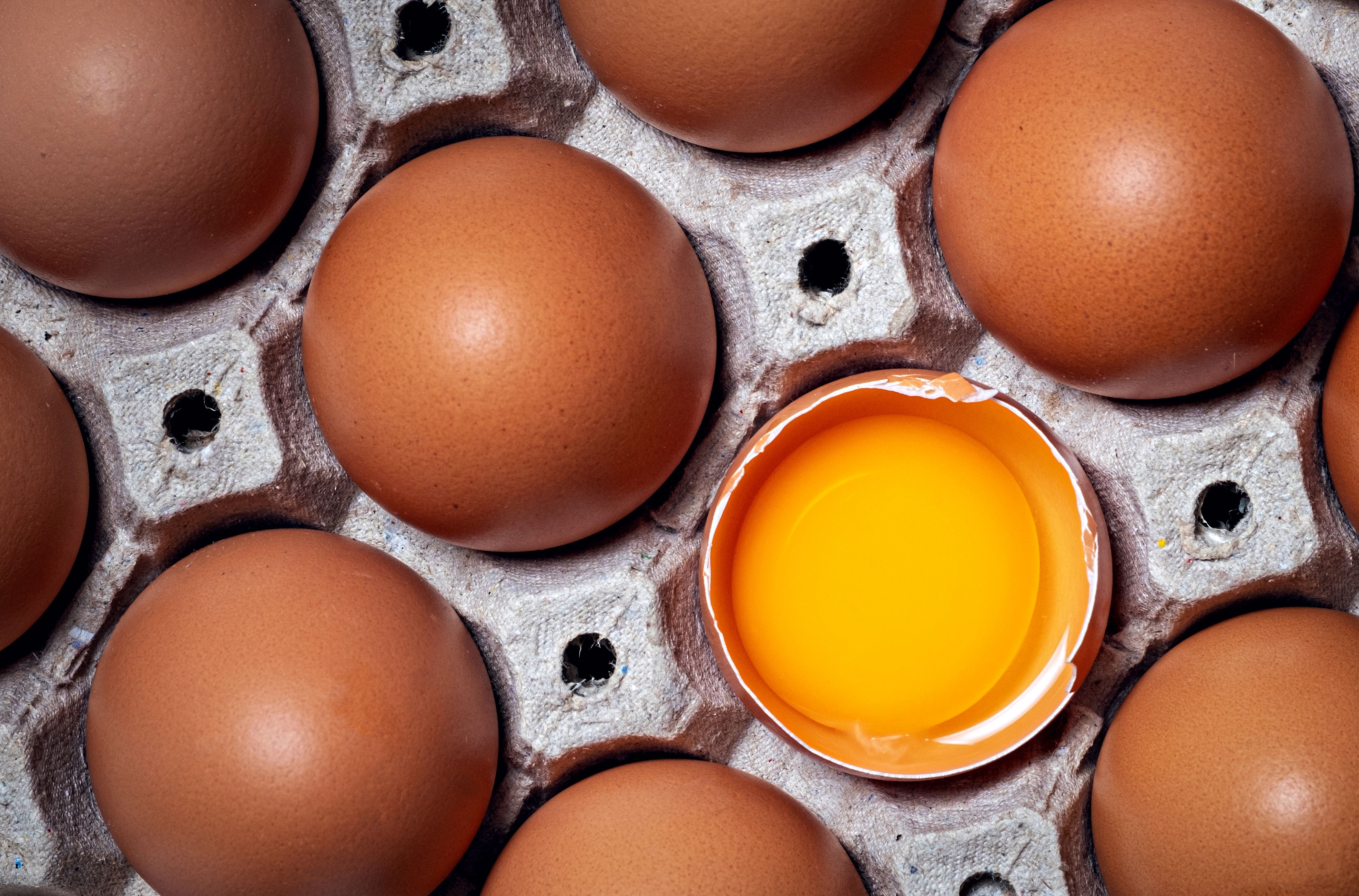 Illnesses in the Egg Salmonella Outbreak Began More Than Six Months Before the Recalled Eggs Were Laid