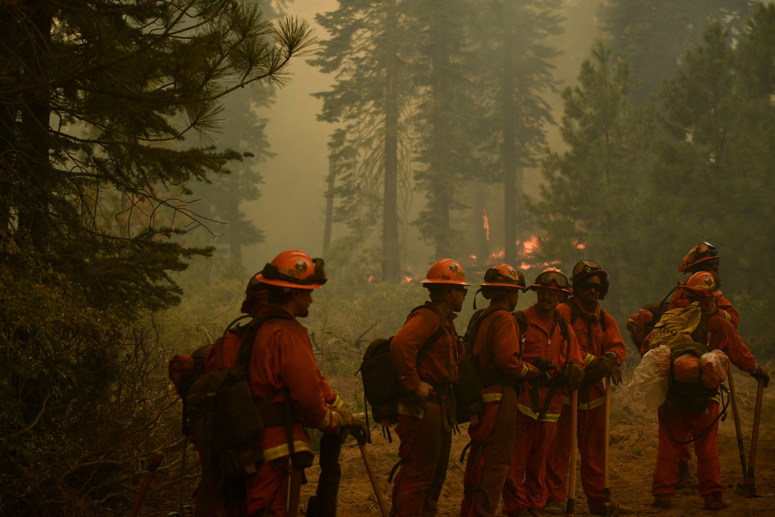 glutathione for firefighters Union Warns Members Against IV and Nebulizer Treatments Offered at Wildfire Camps This Summer Other Products 5-Amino 1MQ 50mg (60 Bottle:Glass