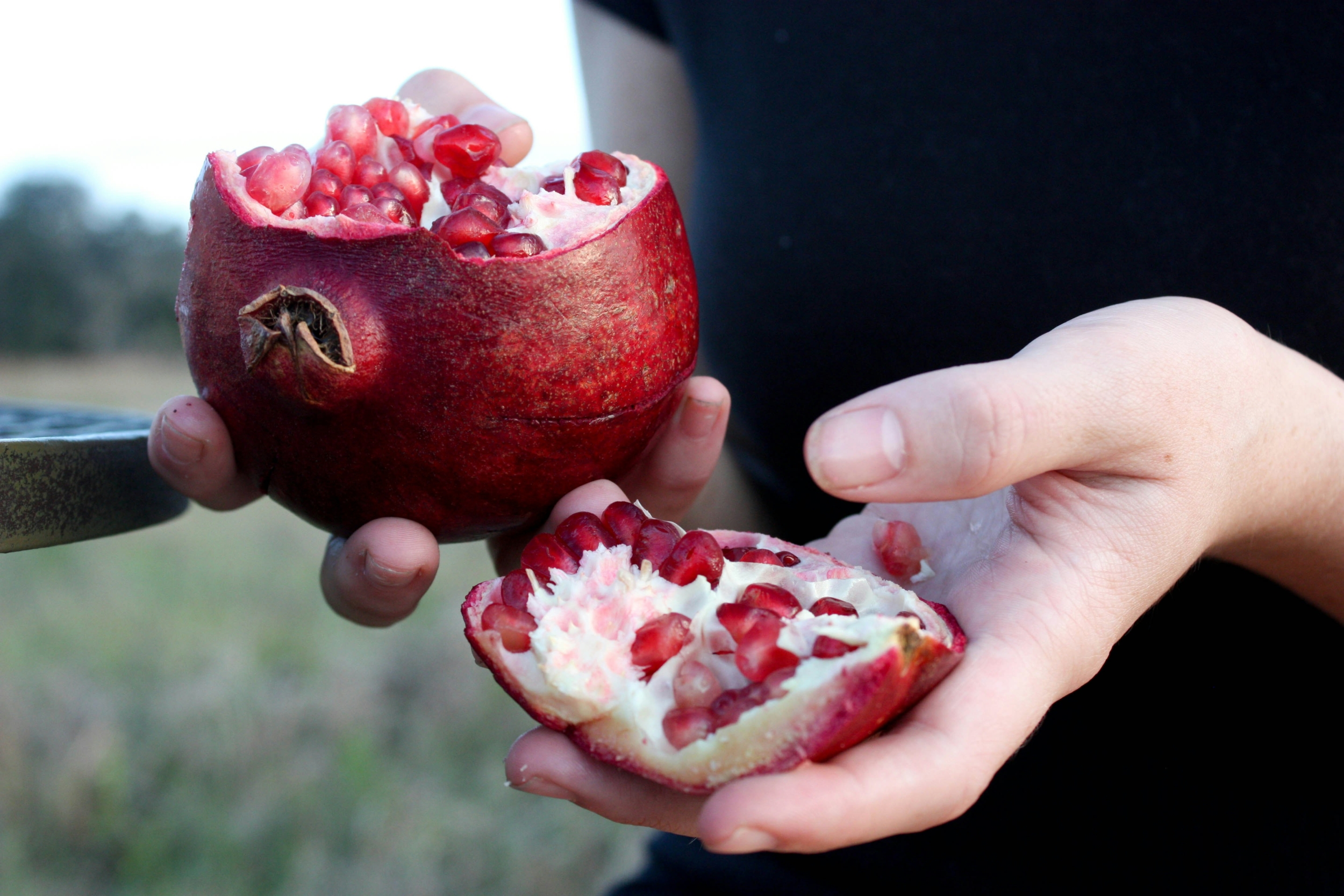 A Compound Linked to Pomegranates Improved Heart Function by Up to 80% in Early Heart Failure Tests