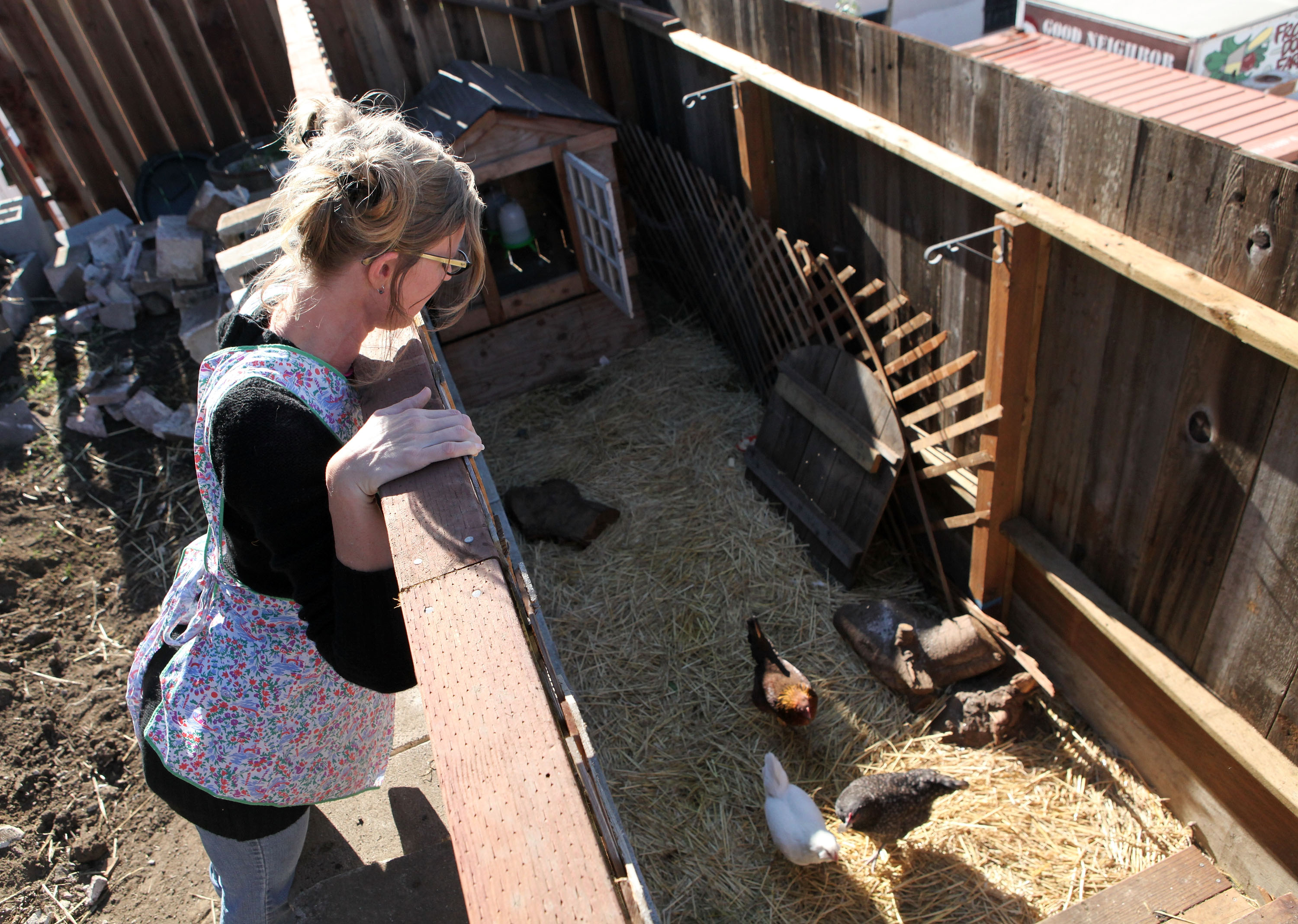 Backyard Poultry Salmonella Outbreaks Reach 1,061 Cases in 46 States and Puerto Rico with a Second Death
