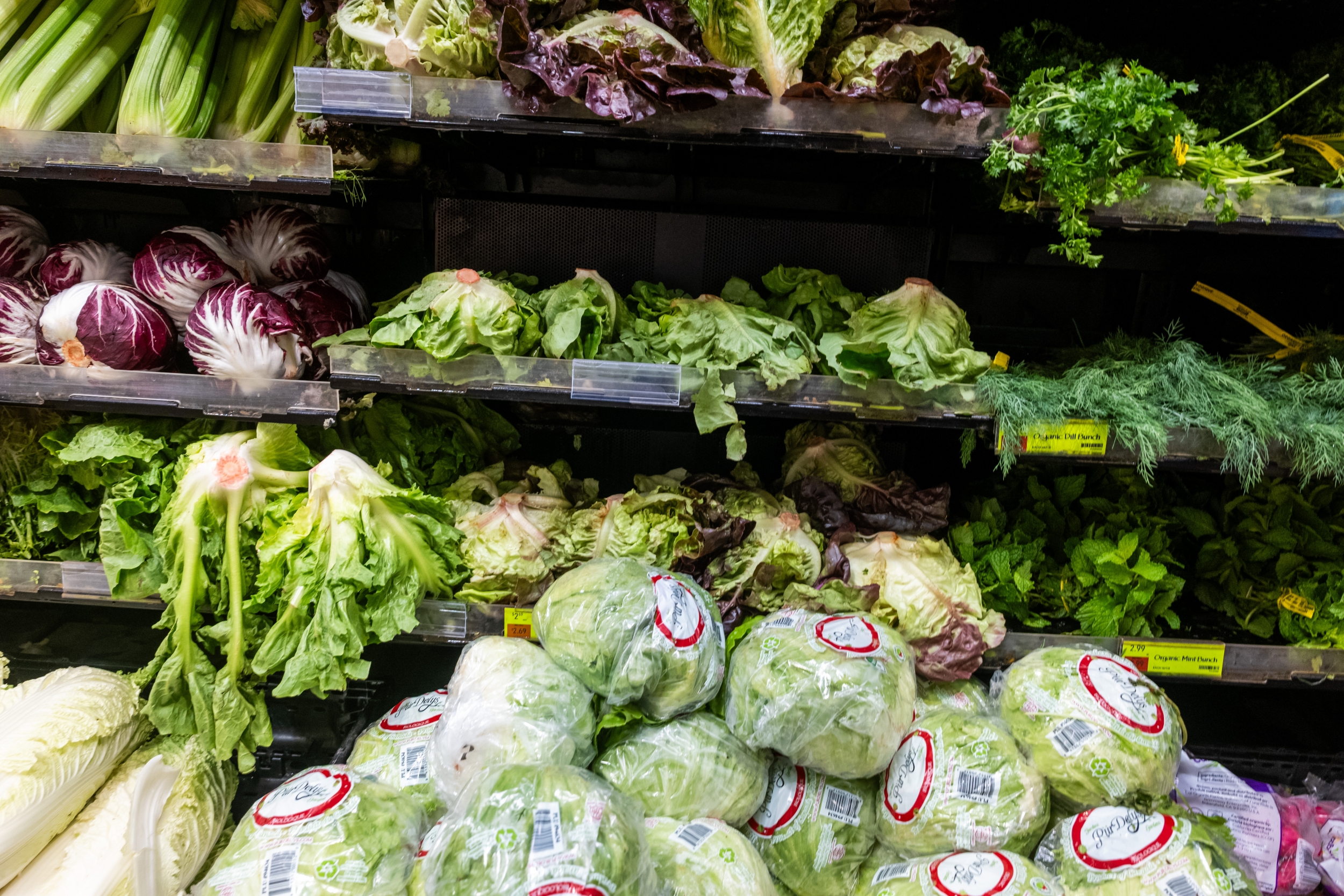 Iceberg Lettuce Cyclospora Outbreak Ends as the Largest on US Record with 12,883 Illnesses and Two Deaths