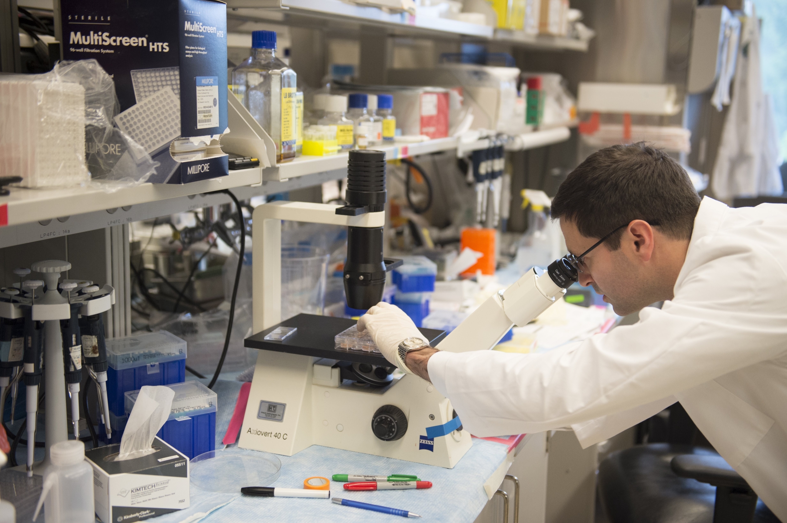 Texas A&amp;M Scientists Map a Stress Shield That May Help Liver Cancer Cells Survive Chemotherapy in Lab Tests