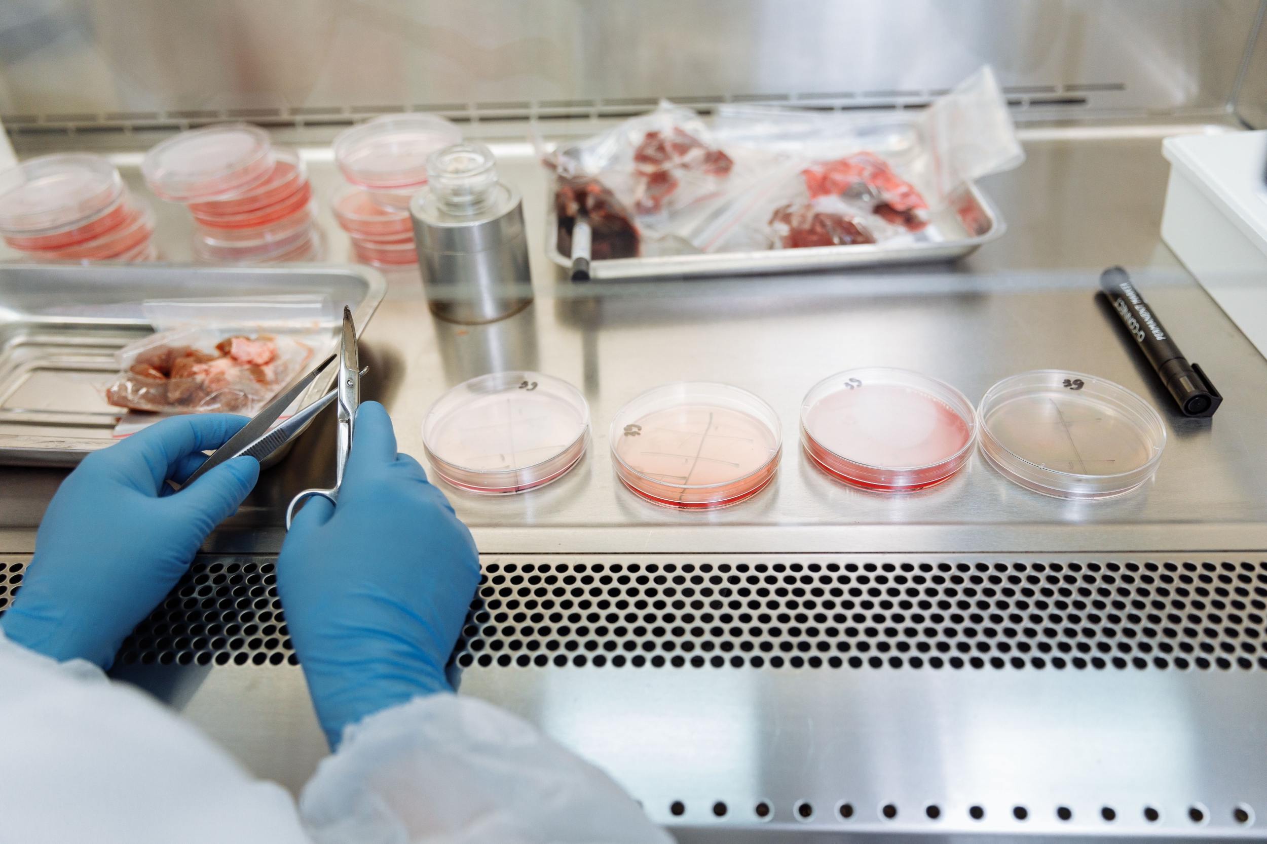FDA Opens Third Listeria Investigation with No Named Food as E. Coli ...