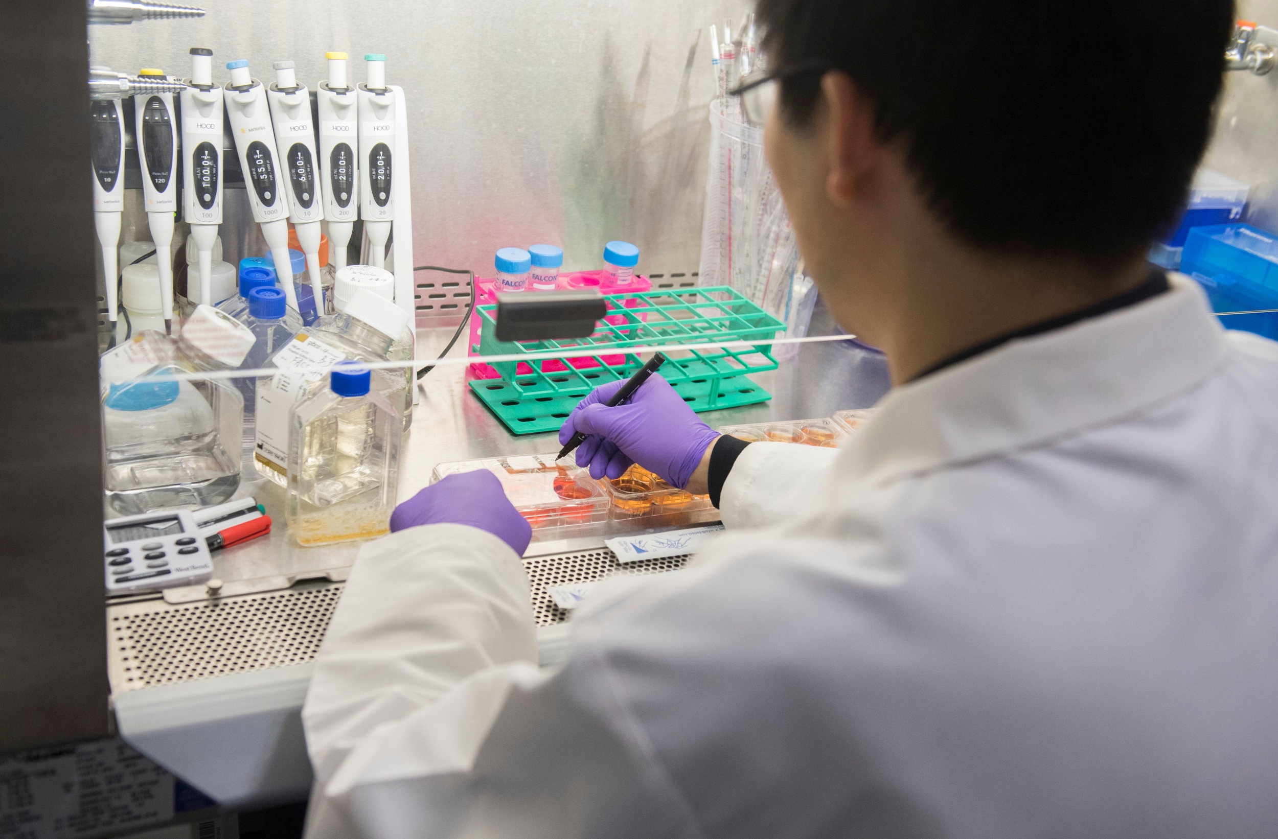 Caribou Biosciences Halts Off-the-Shelf CRISPR CAR-T Programs for ...