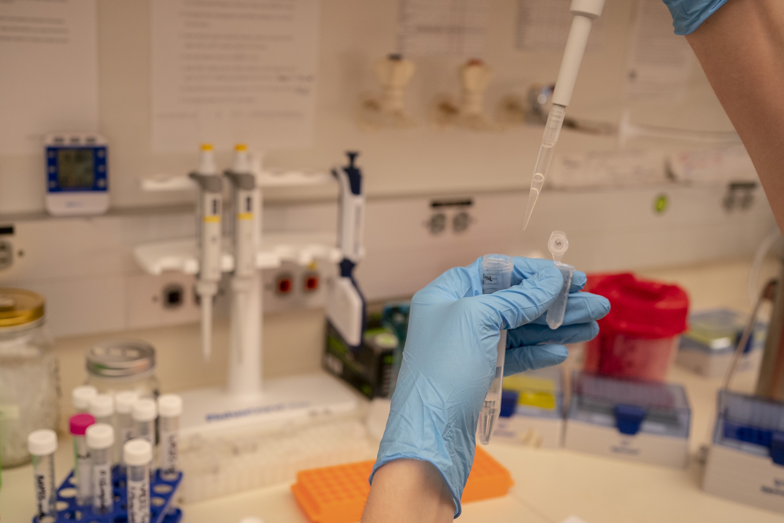 Gut Bacteria Protein Linked to Fever After COVID Vaccines