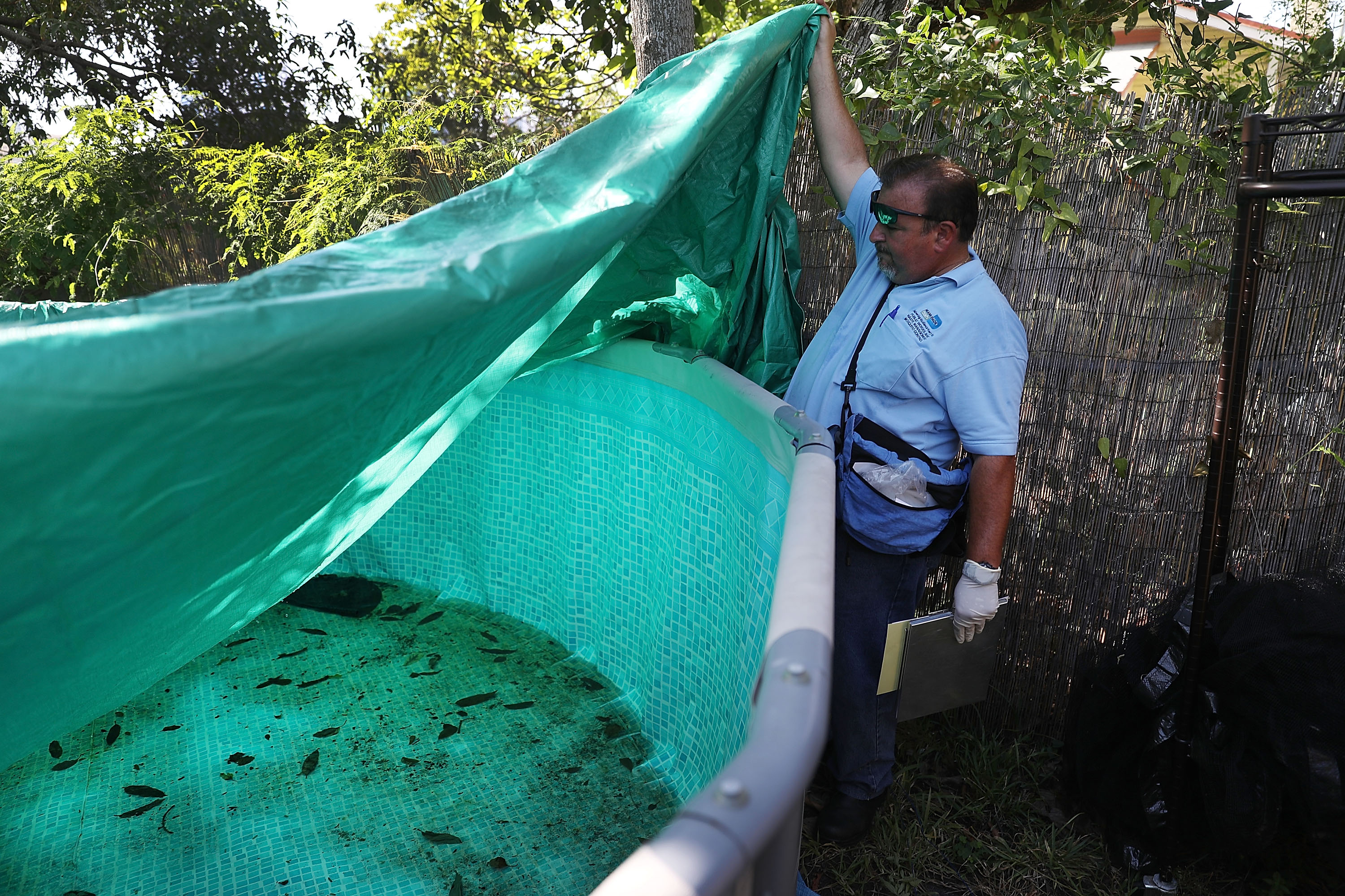Hillsborough Dengue Emergency Faces October 15 Expiration as Mosquito Spending Passes $4 Million and Cases Reach 259