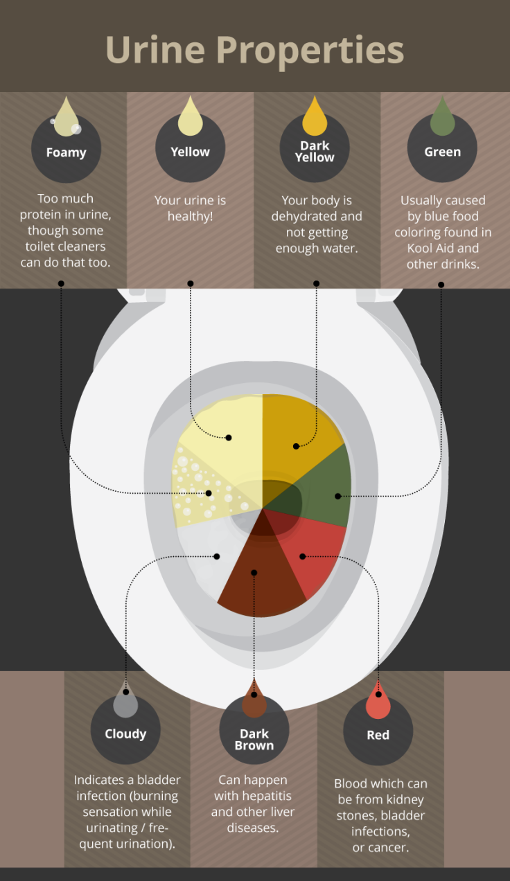 Urine Properties - Toilet Talk