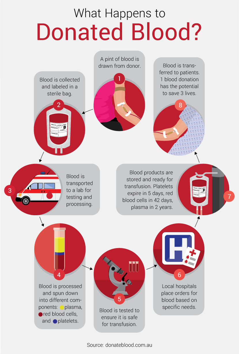 10 Surprising Facts About Donating Blood; From Most Needed Blood Type ...