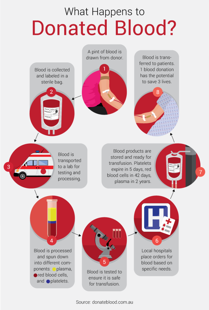 What Happens to Donated Blood - Guide to Donating Blood