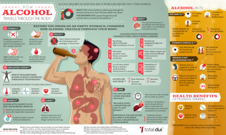 How Alcohol Travels Through the Body